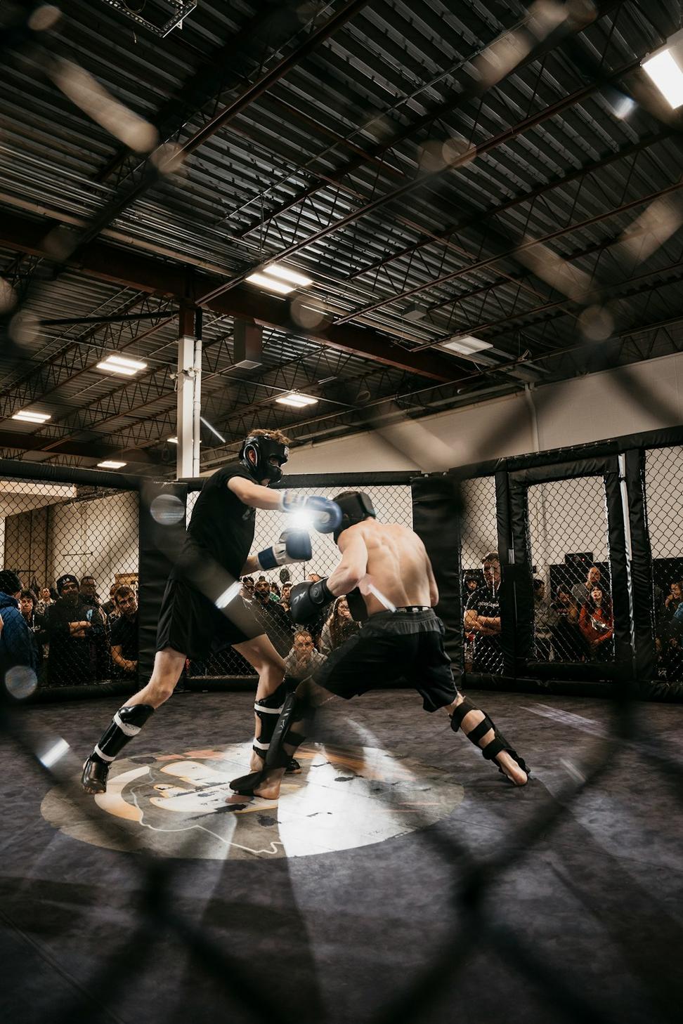 MMA Training
